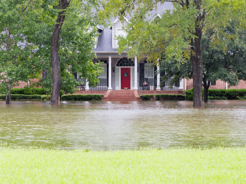 Flood Damage Colony Home Reconstruction Services